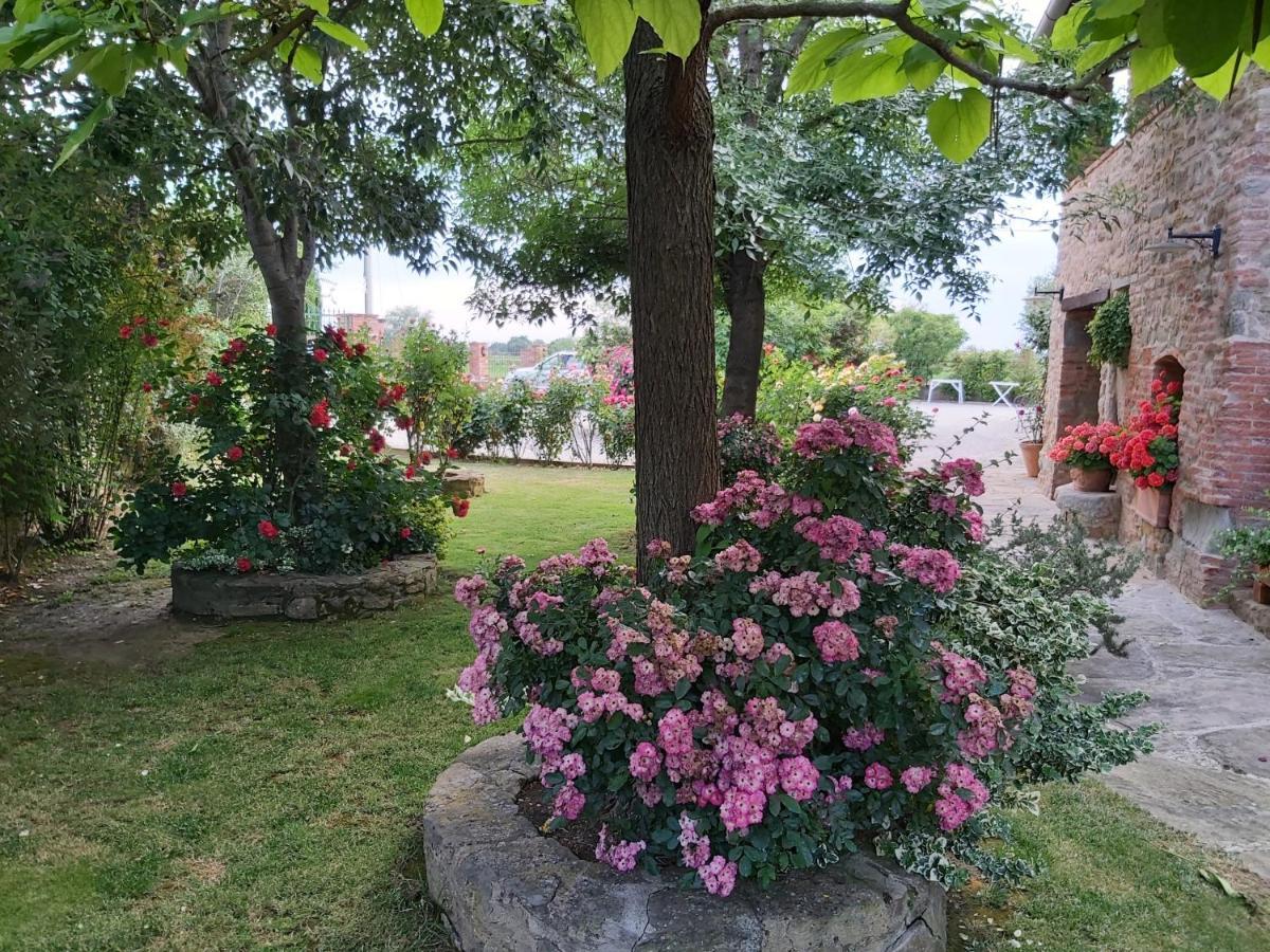 Villa Toscana La Mucchia 코르토나 외부 사진