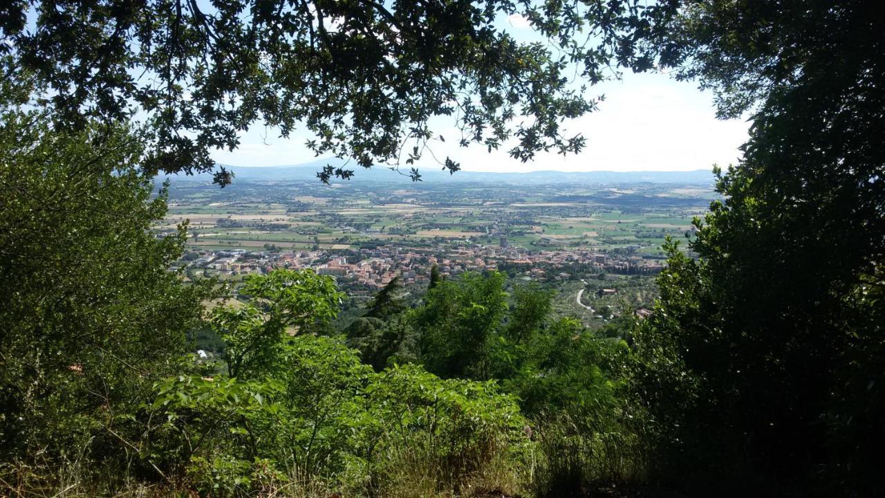 Villa Toscana La Mucchia 코르토나 외부 사진