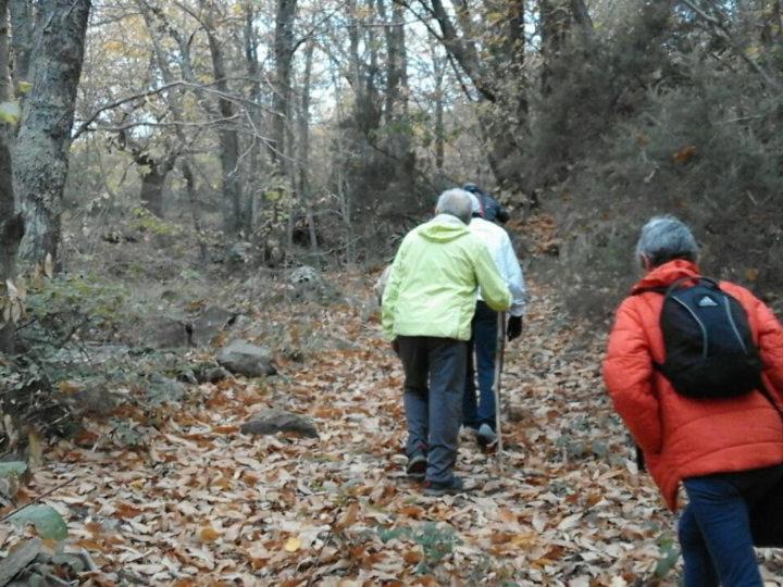 Villa Toscana La Mucchia 코르토나 외부 사진