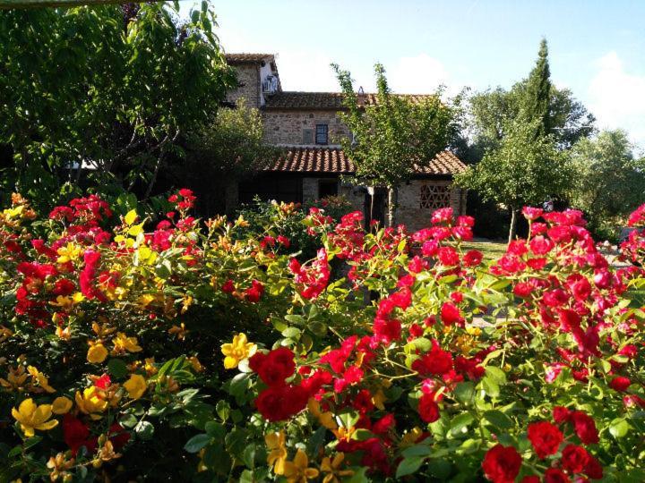 Villa Toscana La Mucchia 코르토나 외부 사진