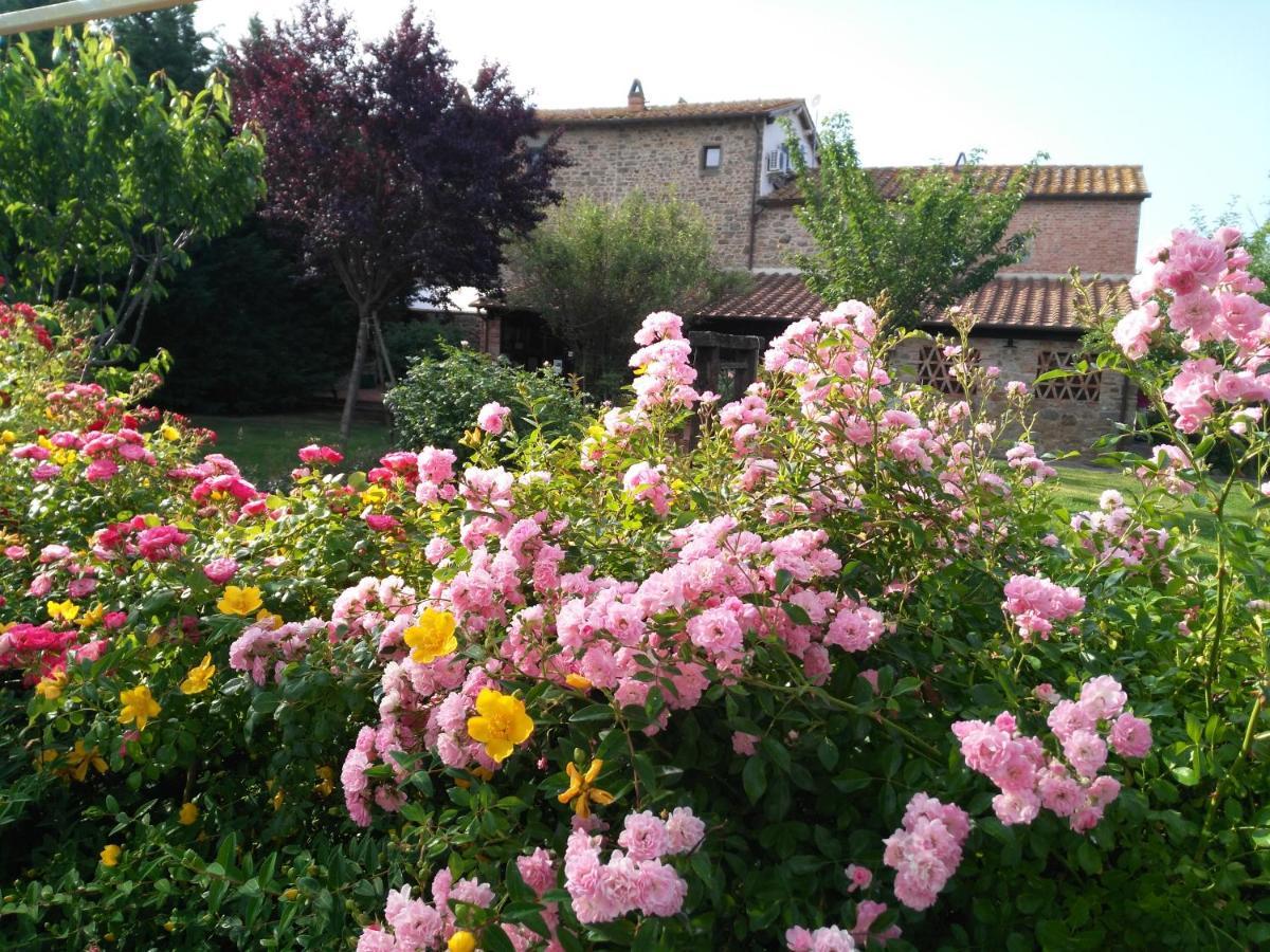 Villa Toscana La Mucchia 코르토나 외부 사진