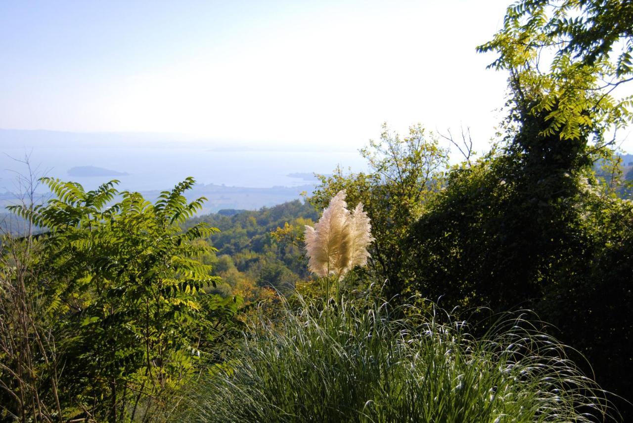 Villa Toscana La Mucchia 코르토나 외부 사진