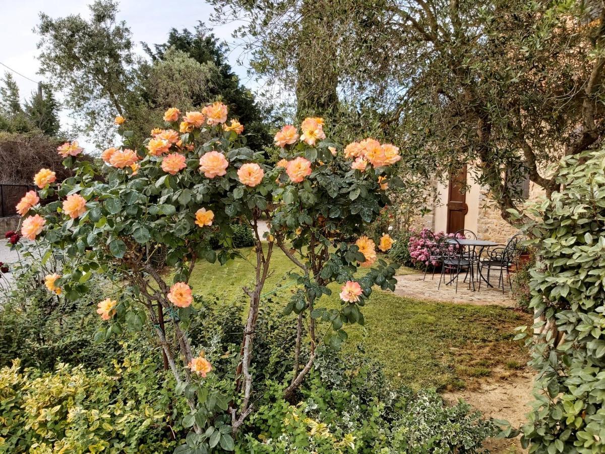 Villa Toscana La Mucchia 코르토나 외부 사진
