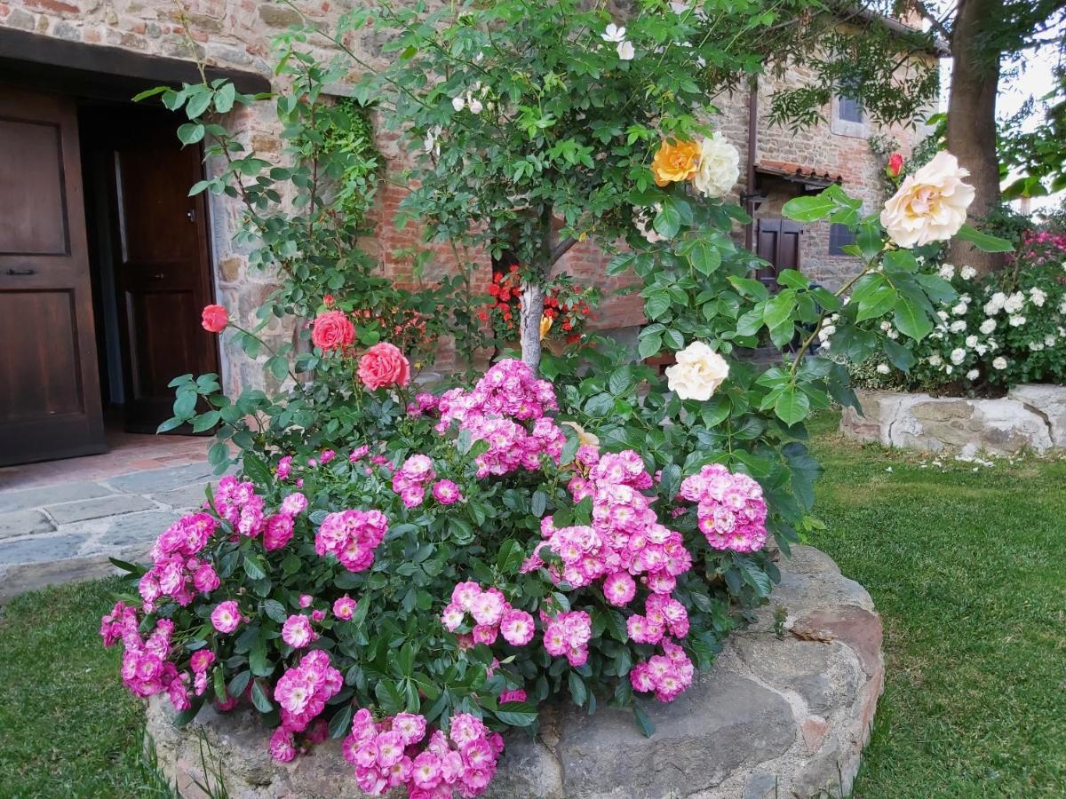 Villa Toscana La Mucchia 코르토나 외부 사진
