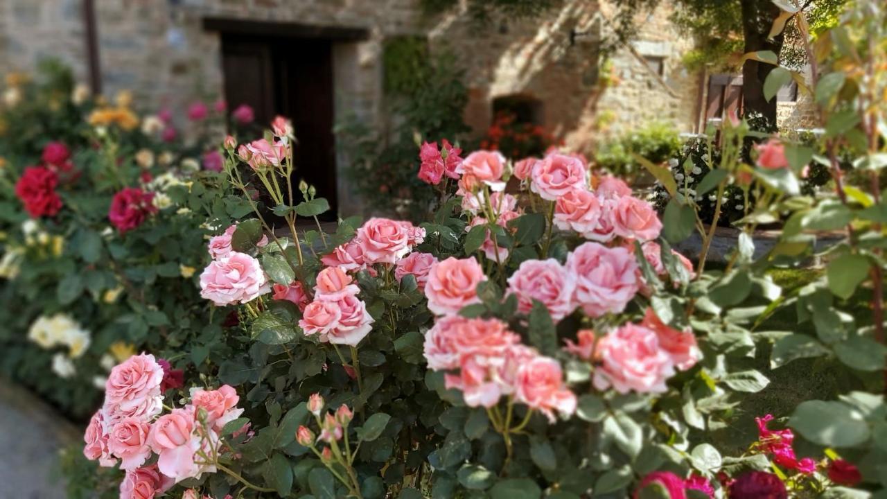 Villa Toscana La Mucchia 코르토나 외부 사진