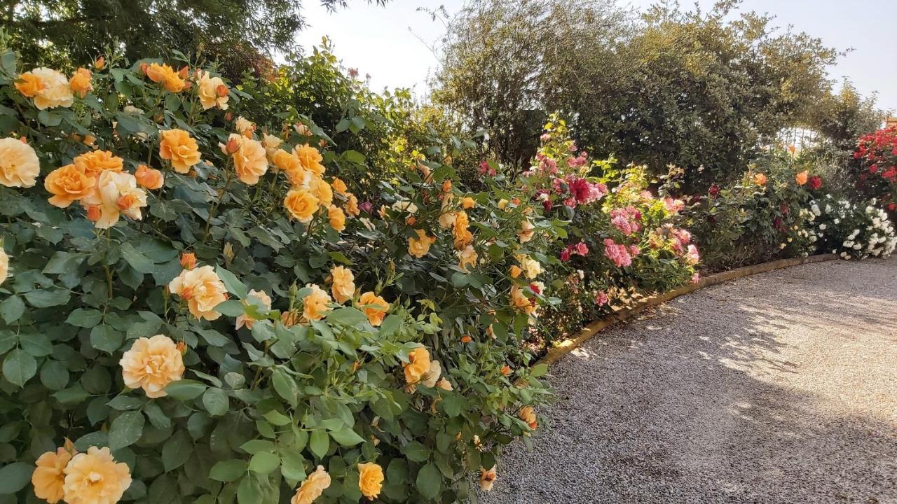 Villa Toscana La Mucchia 코르토나 외부 사진