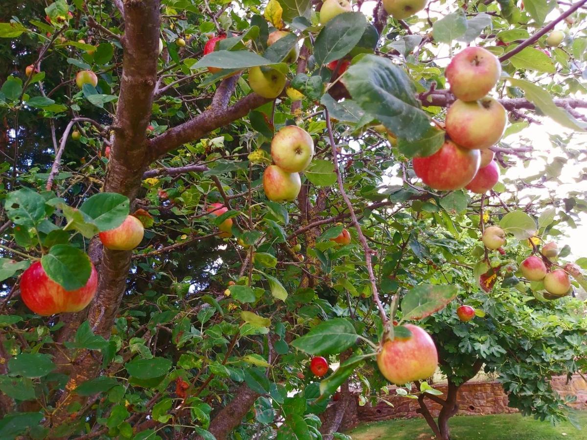 Villa Toscana La Mucchia 코르토나 외부 사진